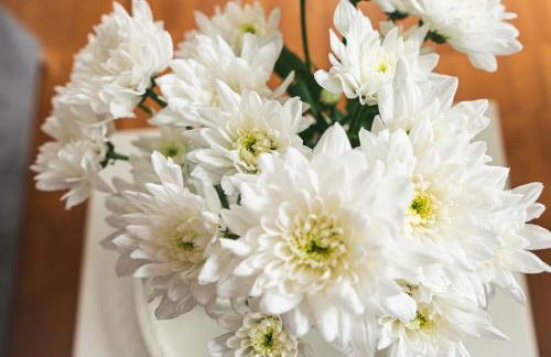 Traumwohnung im Kölner Süden - Foto 5