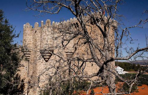 El Gavilán - Foto 47