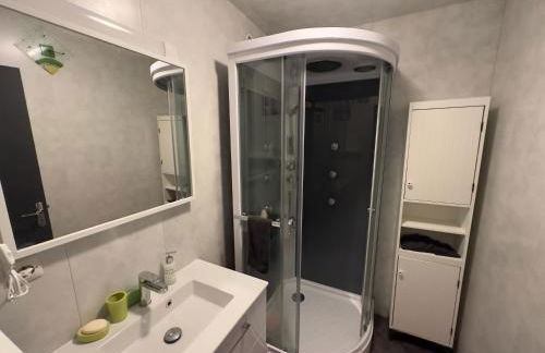 Les Meublés les Dômes du Parc - Photo 44