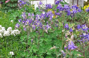 Ferienwohnung Arberblick - Foto 31