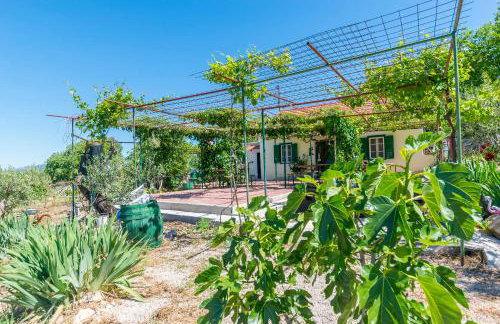 House Green Paradise - Photo 30