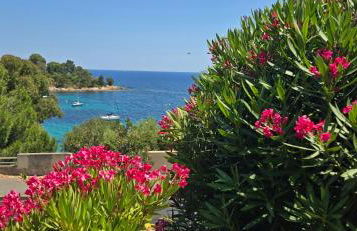 Les Iles d' Or Appartement - Foto 40