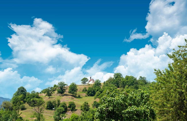 Property in Kirchbichl - Foto 61