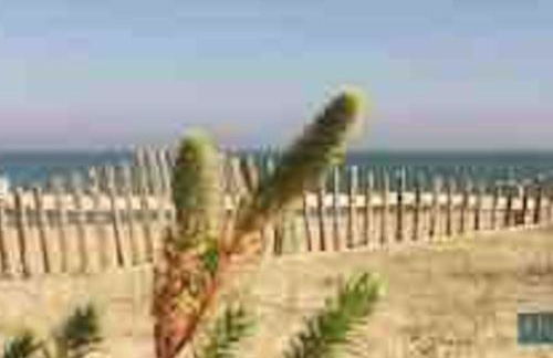 Torreilles-Casa terracota-plage - Perpignan- village de Noël le Barcares - South of France - Foto 51