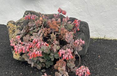 La Cuesta14 - Foto 3