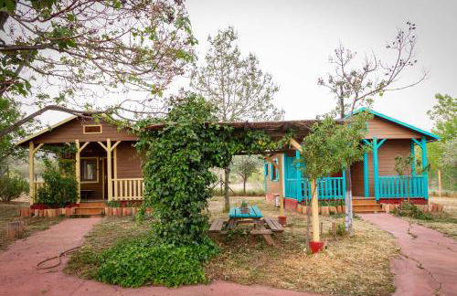 Las Casas de la Vega - Foto 16