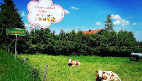 Ferienwohnung Bauer - Foto 5