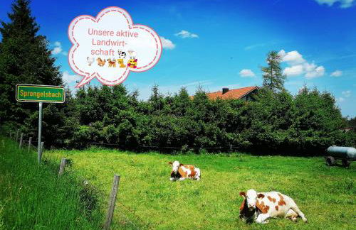 Ferienwohnung Bauer - Foto 5