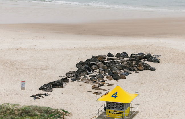 Kirra Point Holiday Apartments - Photo 36