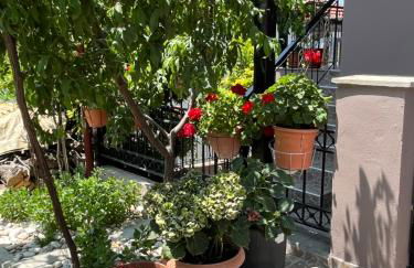 Pandeklare - Photo 22