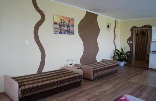 Agroturystyka Marianówek - Foto 7