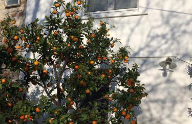 Apartmani Harmonija - Foto 13