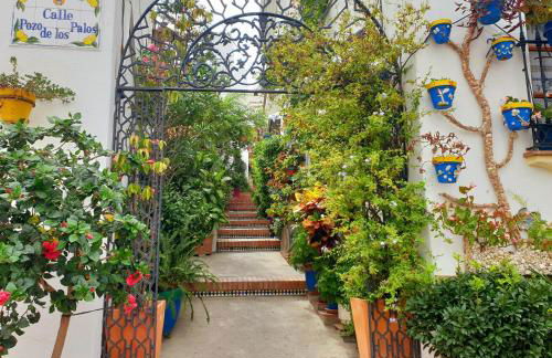 Casitamar frontline beach house rental Casares Costa near Estepona - Photo 76