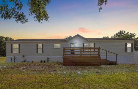 Zephyrhills House for 4 people WiFi BBQ Mini Golf - Foto 27