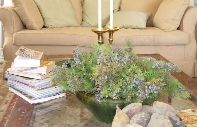 Sneeuberg Nature Reserve - Photo 26