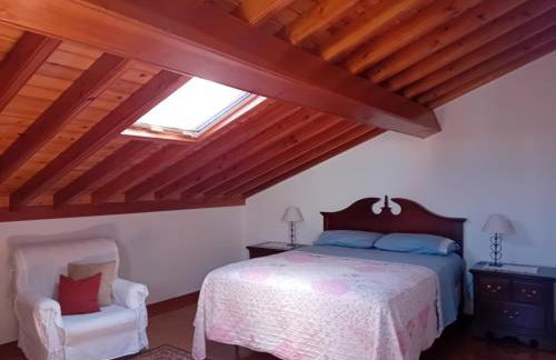 Ribeirinha House - Photo 16