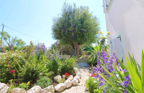 Apartments Delminium - Foto 42