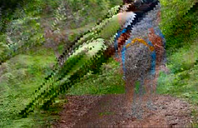 Passeio a cavalo às cataratas Tocori - Foto 1