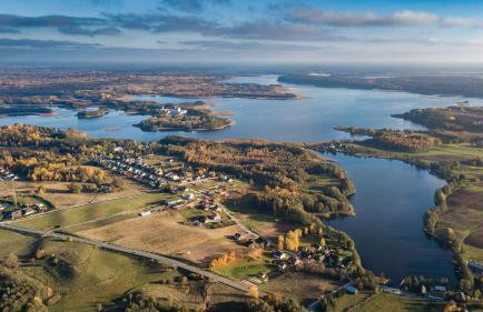 Przytulisko Leszczewek - Foto 36