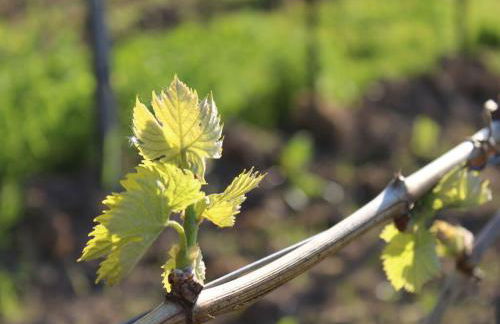 Appealing apartment with terrace - Foto 13