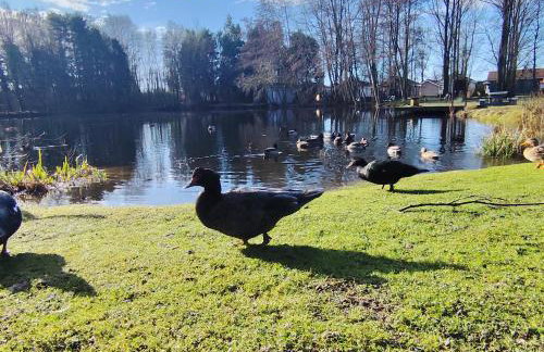 Cottage relaxant au bord de l'eau - Foto 40