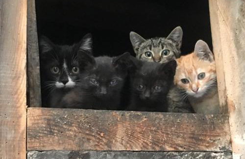 Apartamento con encanto en el Pirineo - Foto 23