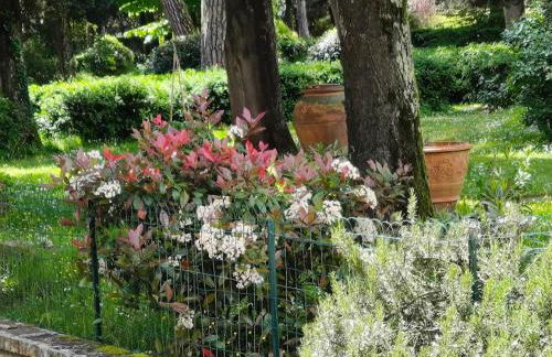 Villa Tommasini La torre - Foto 47