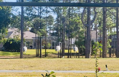 Amazing Vacation Home With Private Pool at Highland Reserve! - Foto 74