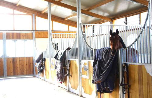 Gite Ecuries Vineuil Jump - Foto 31