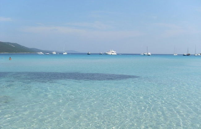 Apartment in Dubrovni With Garden - Foto 21