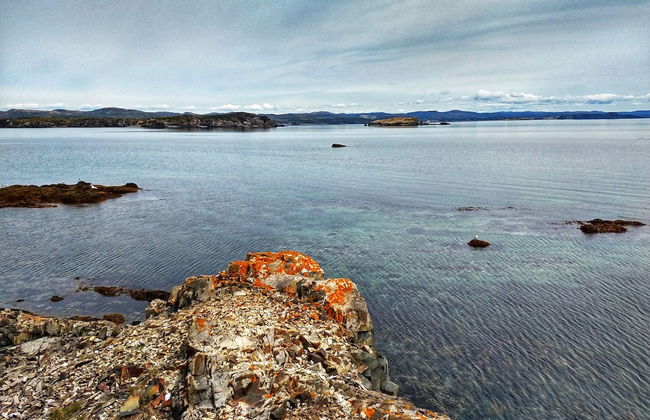 The Killick Inn & Suites - Foto 44