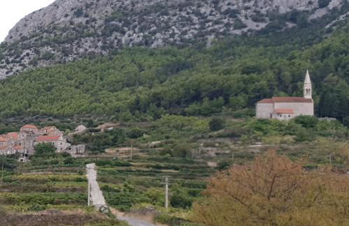 Biserka hidden gem of the island Hvar - Photo 21