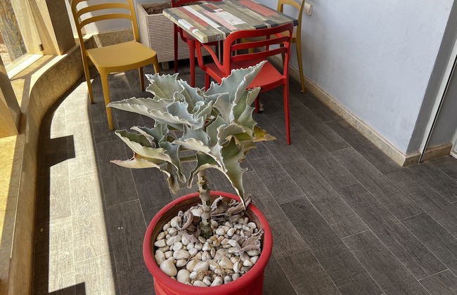 SUDRESIDENCE - Photo 28