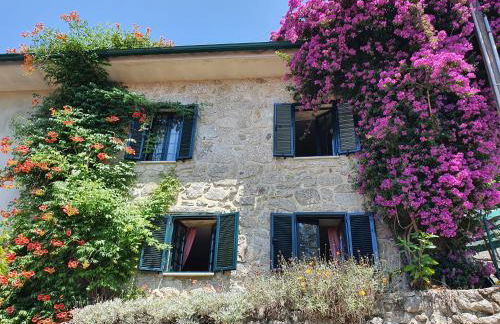 Casa Rústica - Foto 7