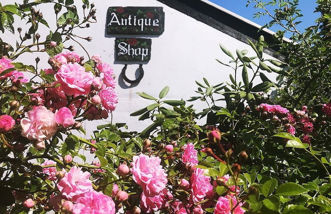 Kingsmills Cottages Cookstown - Foto 33