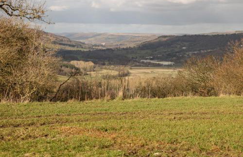 Cambridge Lodge - Photo 43