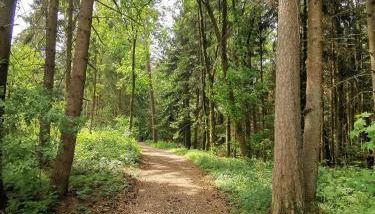 Echt Zeit Apartments - Foto 5