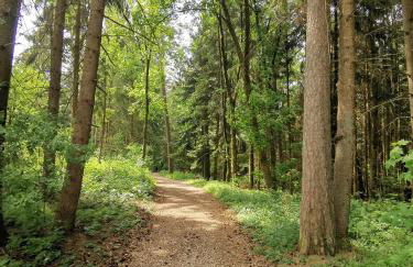 Echt Zeit Apartments - Foto 5