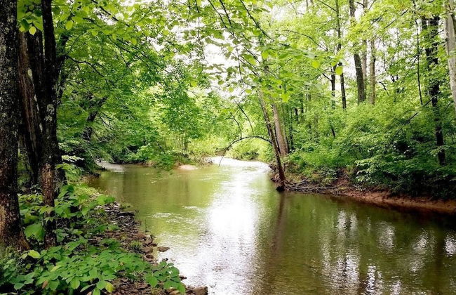 Cabin at Sleepy Creek - Charming Cabin - Foto 1