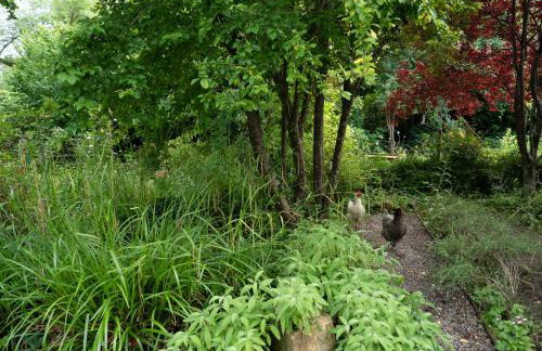 Pont Vieux - Foto 26