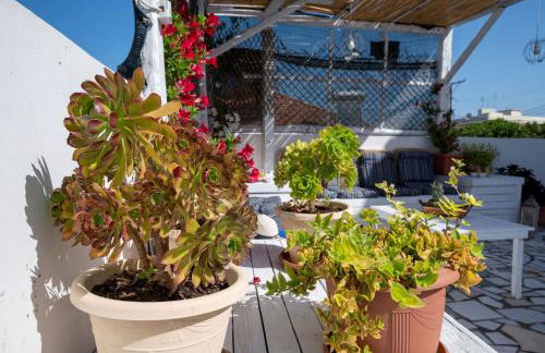 Evaggelia s Private House in Fanes Rhodes - Foto 65