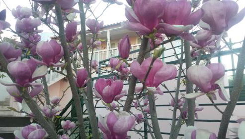 Casa Castedo do Douro - Foto 2