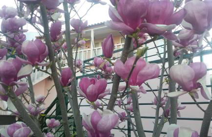 Casa Castedo do Douro - Foto 2