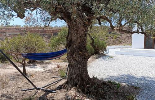 Cortijo Ciprés - Foto 26