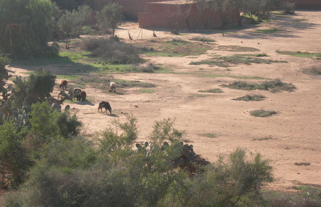 Le Jardin aux Etoiles - Foto 53