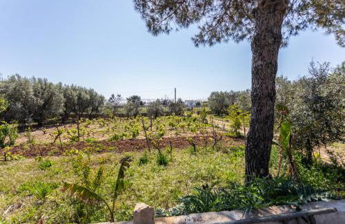 Villetta Mariangela immersa nel verde - Apulia Home - Foto 28