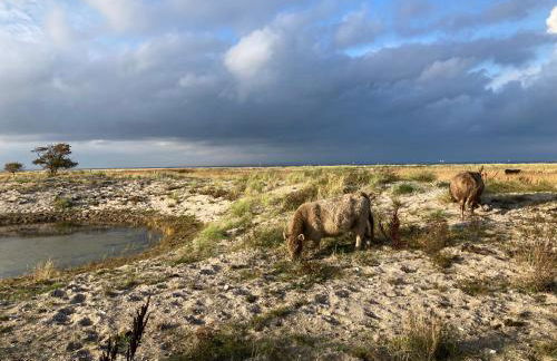 Ferienwohnungen Kapitänskajüte & Ausguck - Foto 30