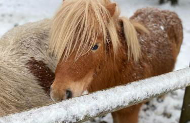 The Saddlery Barn Retreat - Foto 19