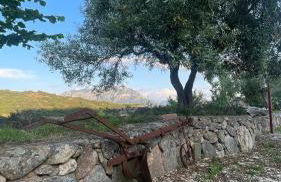 Matta e Sole - Foto 30