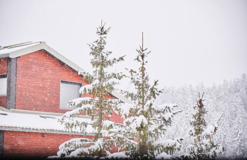 Studio Herbouilly - Vercors - Foto 8
